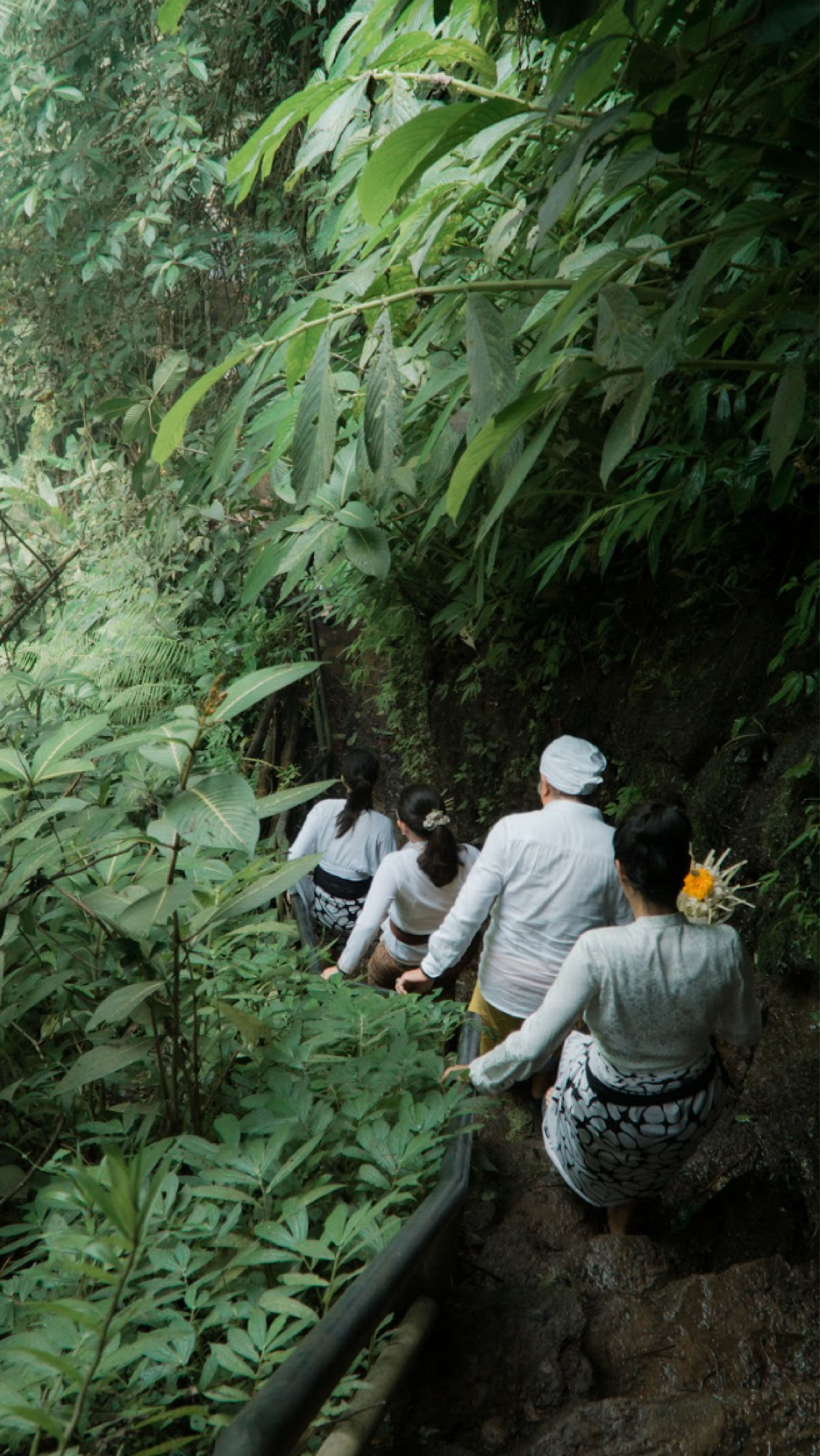 Sustainable & Community Engagement_750x1333.jpg